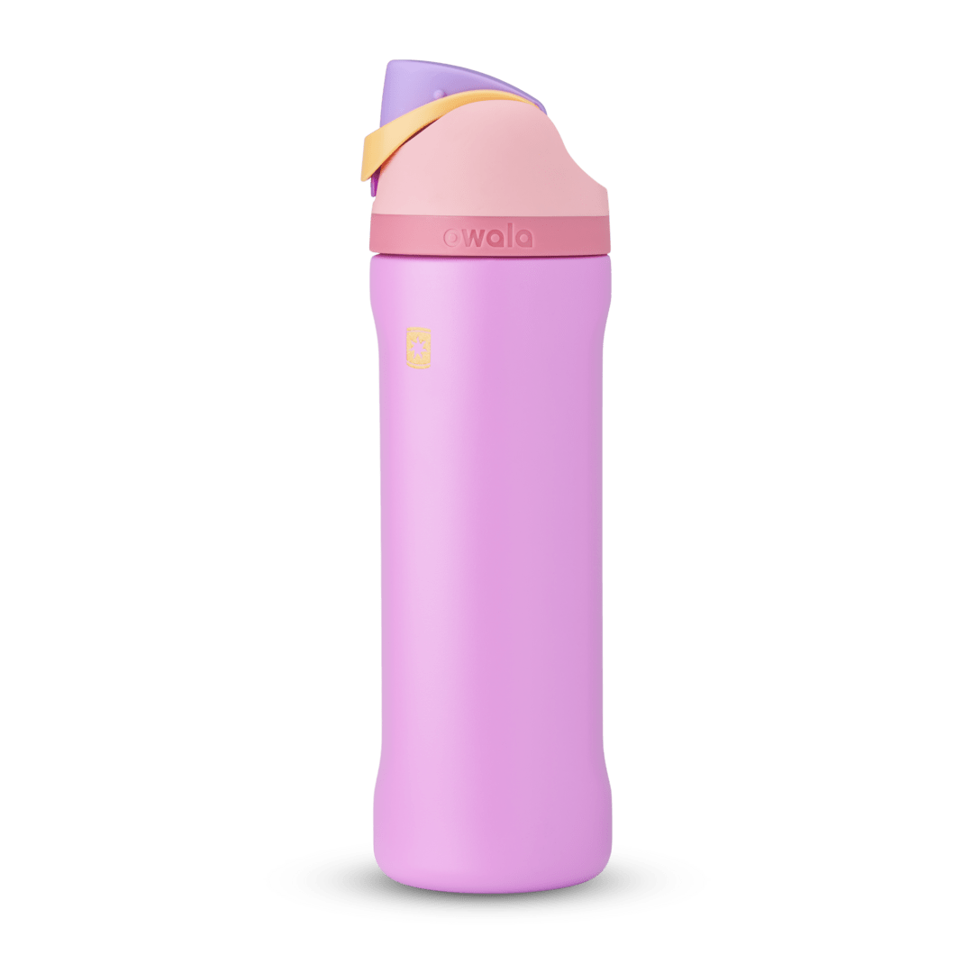 Disney Princess Collection | Modern Pick