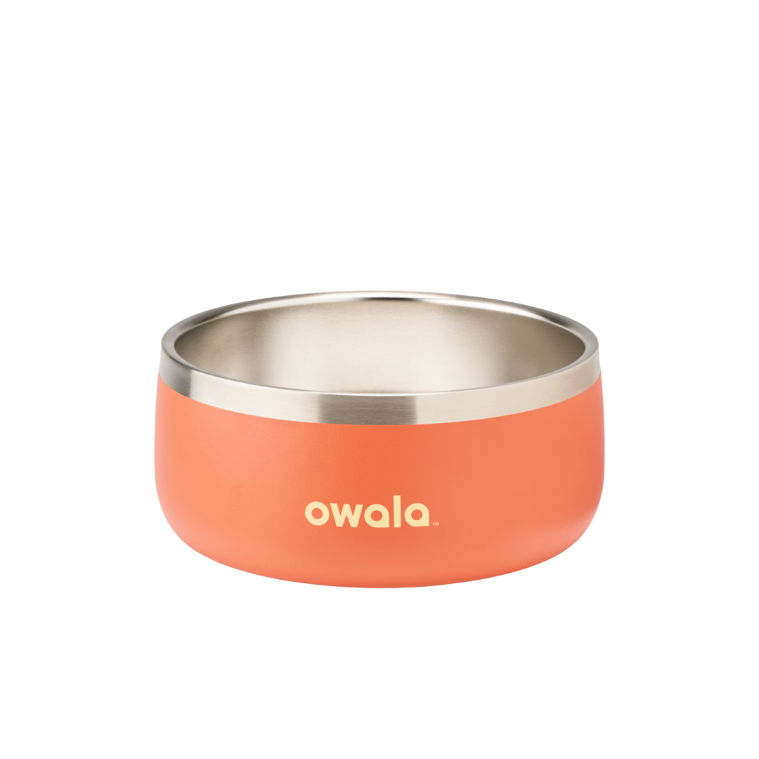 Pet Bowl | Classic Pick