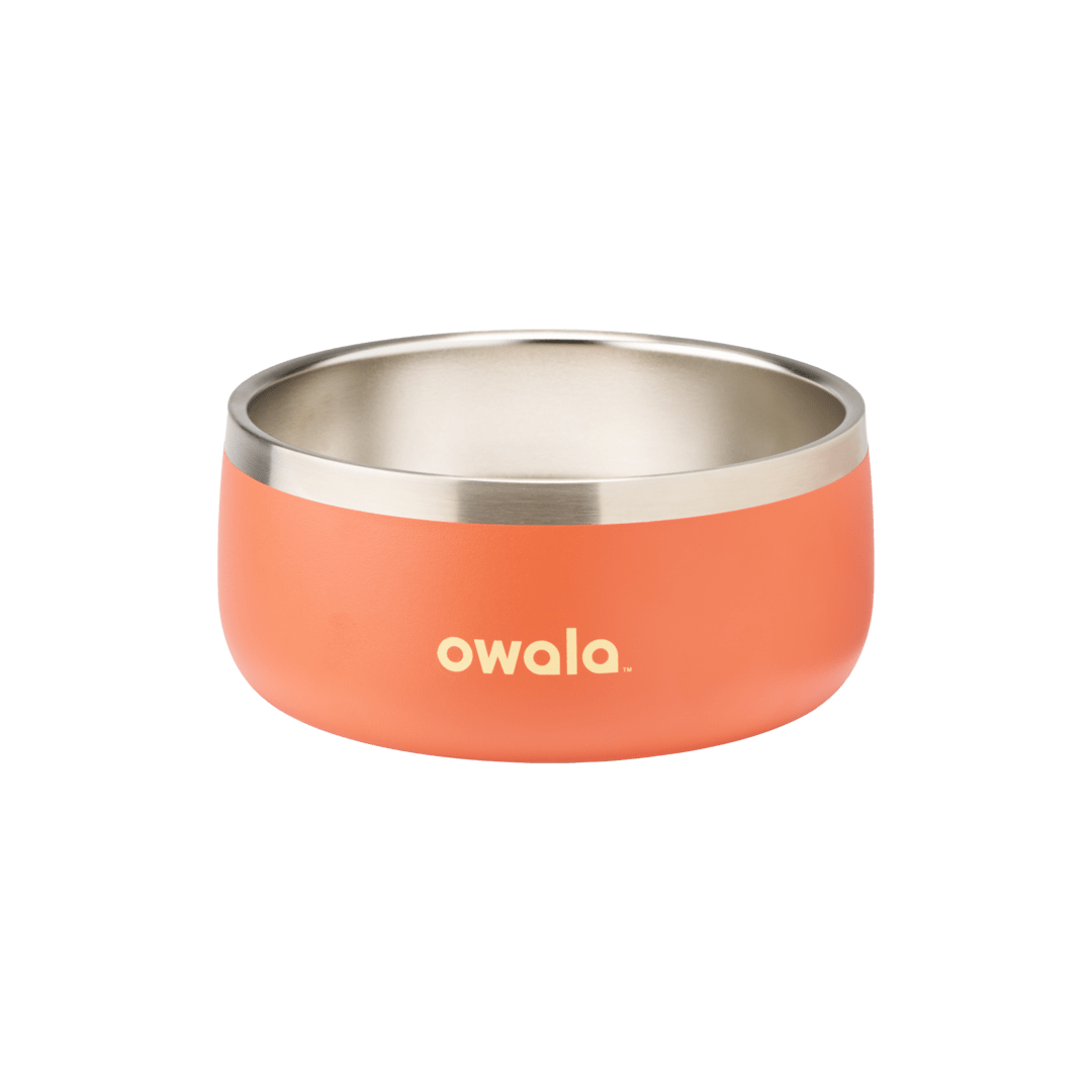 Pet Bowl | Classic Pick