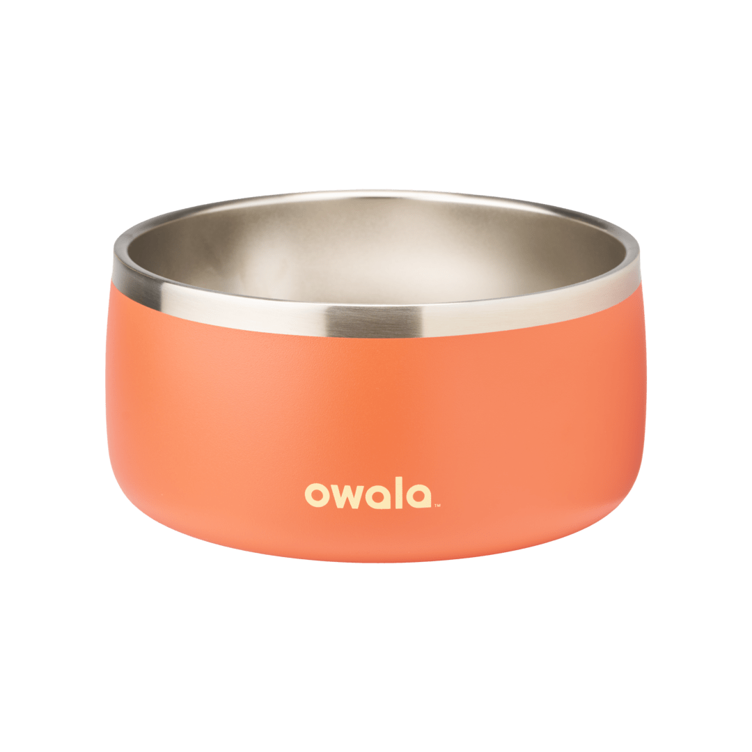 Pet Bowl | Classic Pick