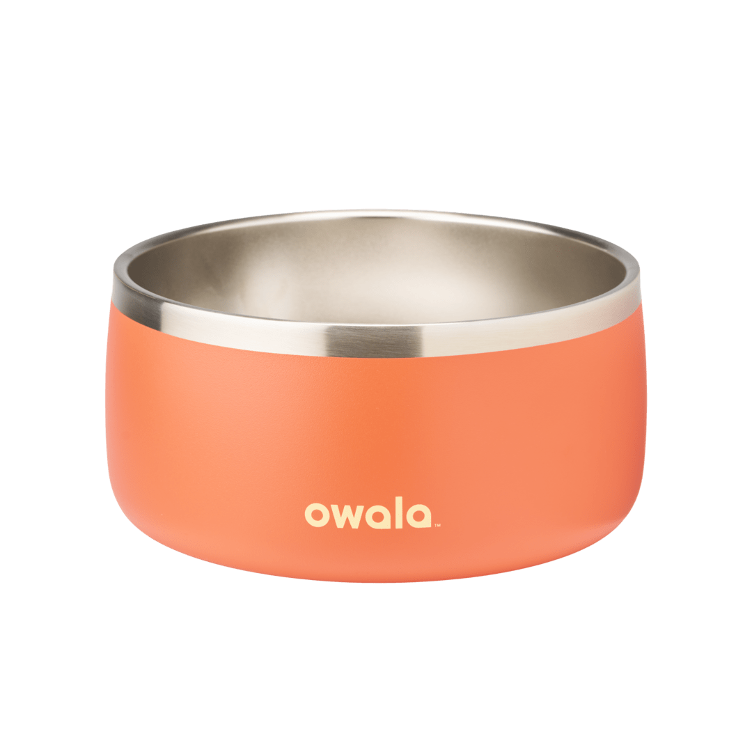 Pet Bowl | Classic Pick
