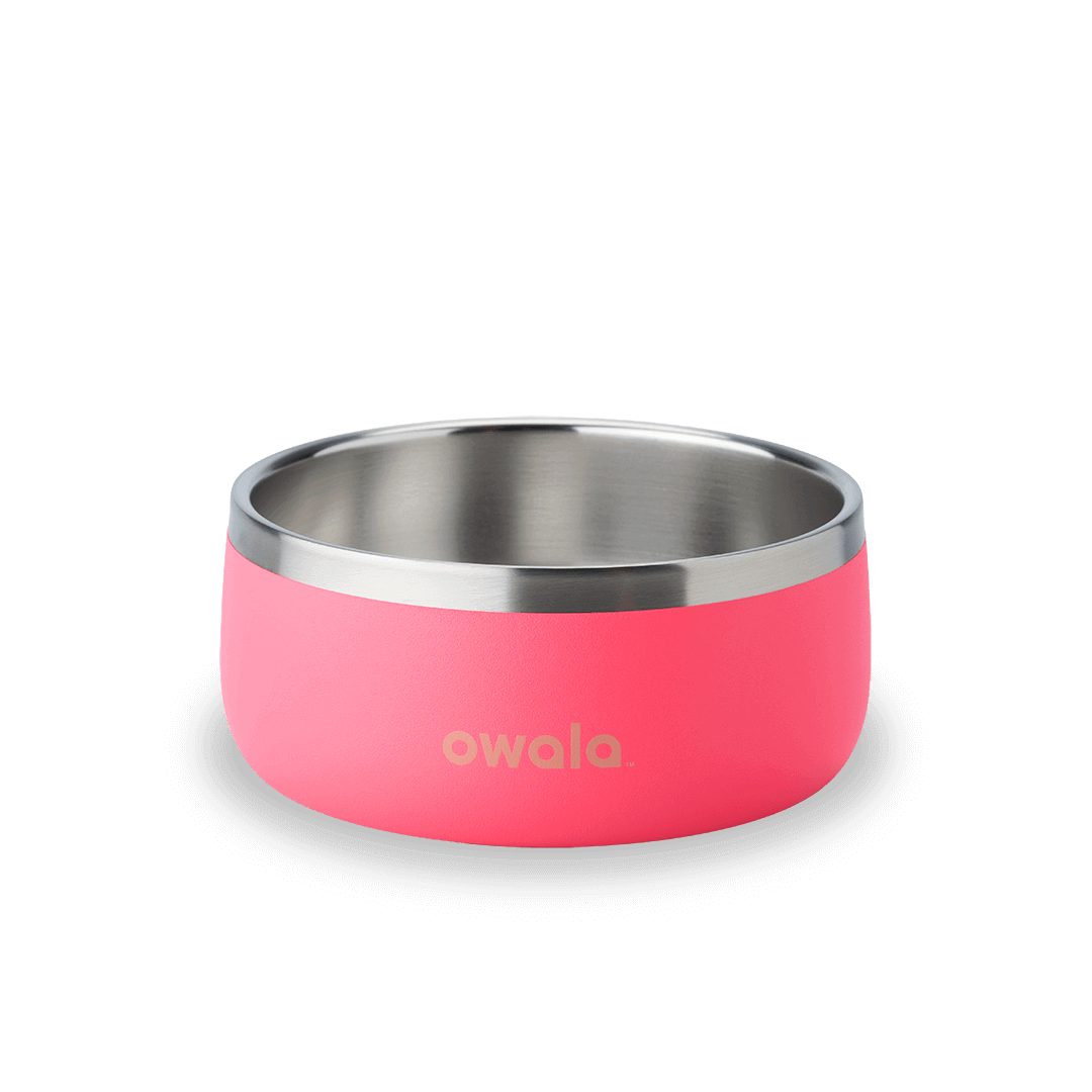 Pet Bowl | Classic Pick