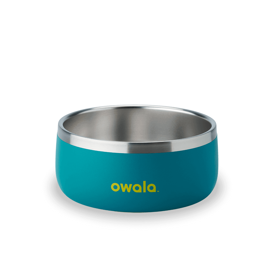Pet Bowl | Classic Pick