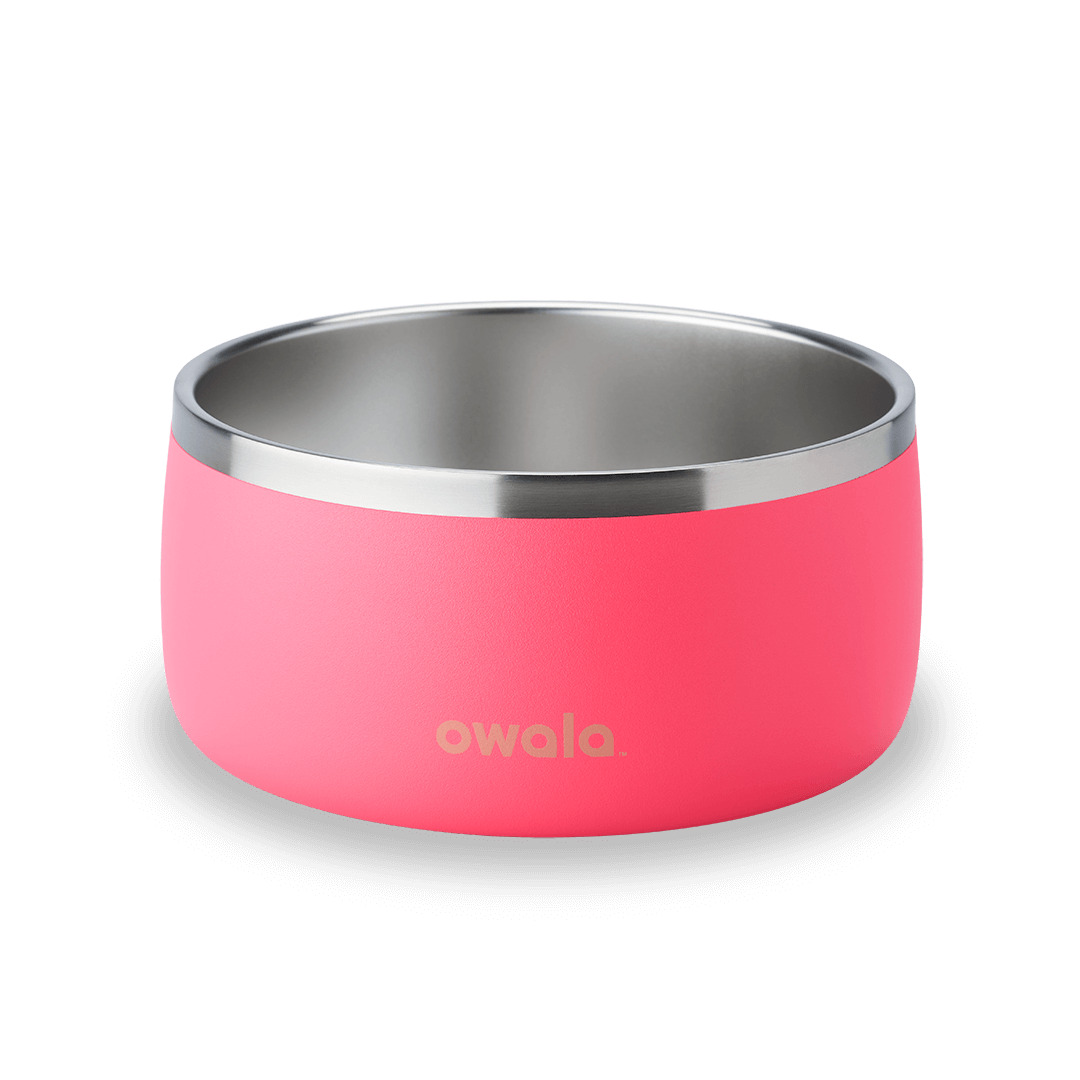 Pet Bowl | Classic Pick