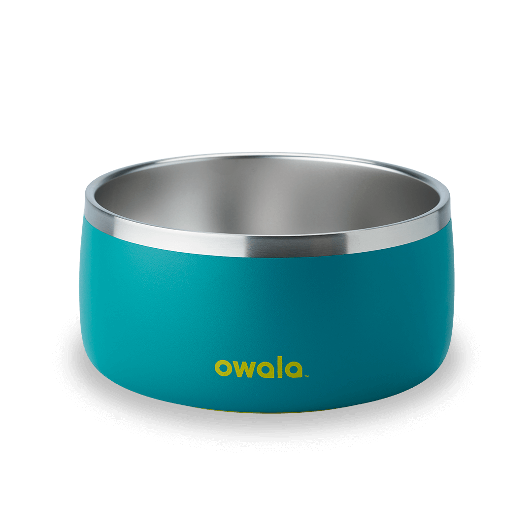 Pet Bowl | Classic Pick